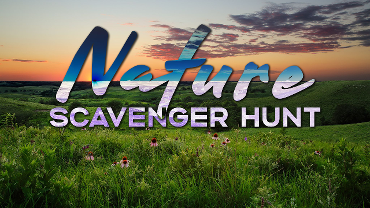 Nature Scavenger Hunt image number null